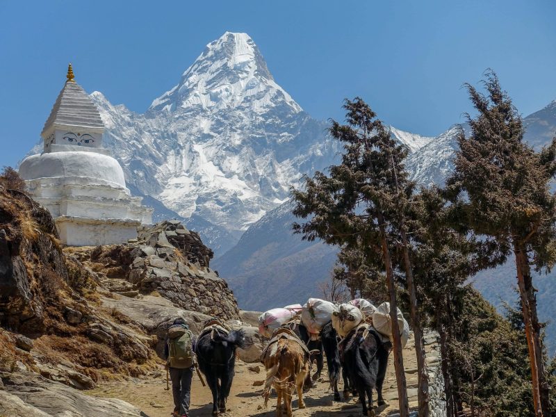 16 Daagse Reis naar de voet van Mount Everest. Bij Boek Nepal Specialist Voor Jouw Reis Naar Nepal!