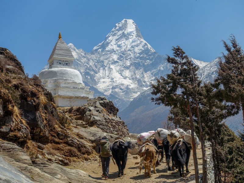 Wil jij naar Everest Basecamp in Nepal? Ga met ons mee tijdens de 16 daagse Everest Basecamp trek.