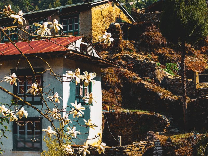 Het Himalaya Avontuur In de Himalaya