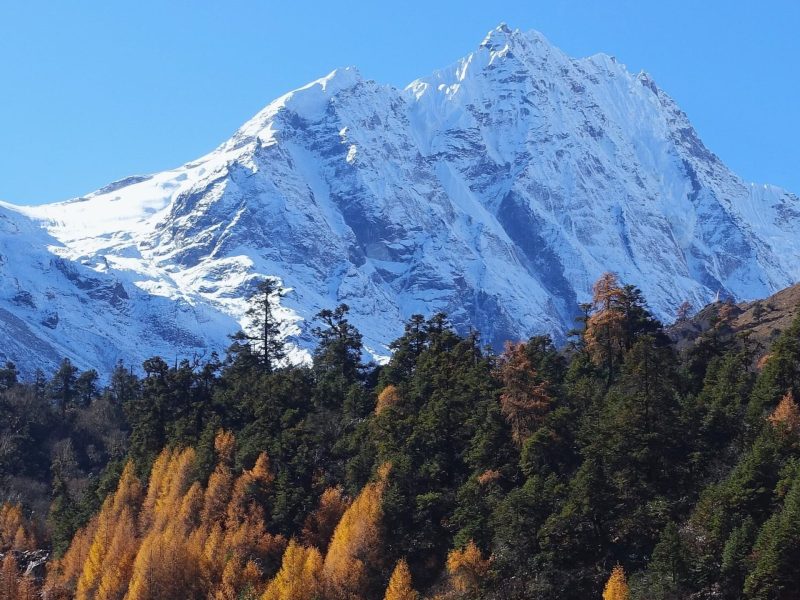 Prijs trekking Nepal