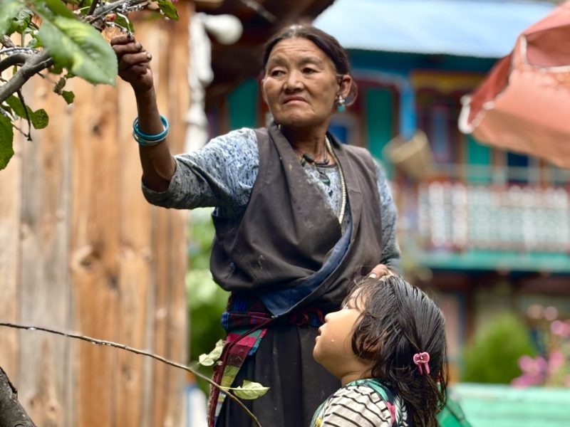 Manaslu Reis in Nepal- 18 dagen avontuurlijke groepsreis of individuele reis.