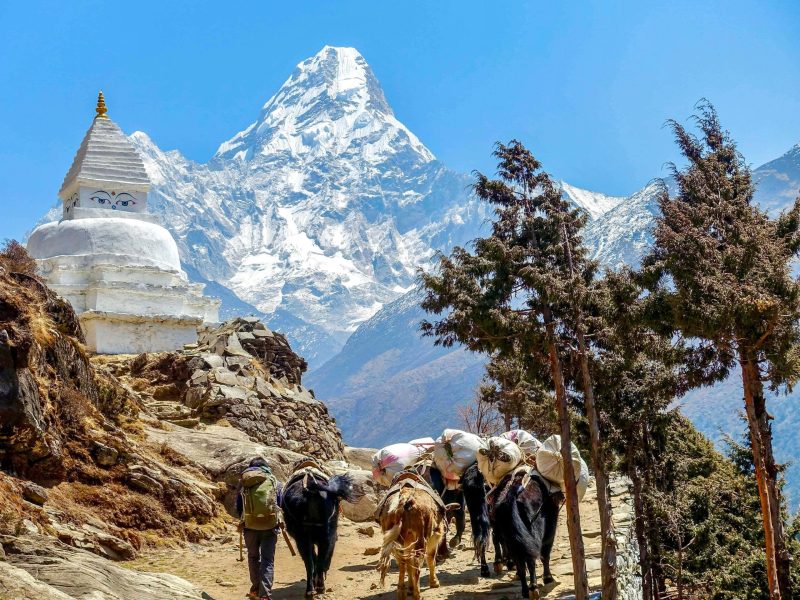 Reizen Naar Nepal Met Nederlandse reisbegeleding In Kleine groepen - Unieke Reizen Naar Nepal.