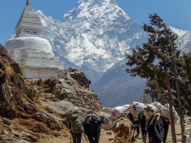 Rondreis Nepal