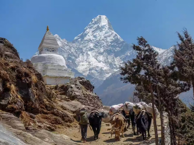 Everest Base Camp Trek In Nepal. Groepsreizen met Nederlandstalige reisleiders.